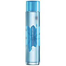 perfume Essência Encantadora