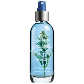 perfume Benessere Notte