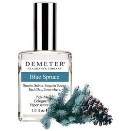 Blue Spruce