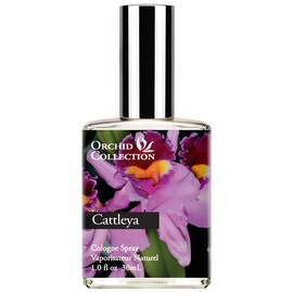 perfume Cattleya Orchid