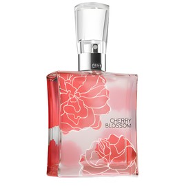 Cherry Blossom