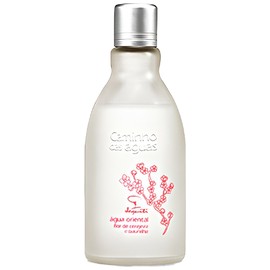 perfume Caminho das Águas Água Oriental Flor de Cerejeira e Baunilha
