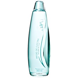 perfume Brisas Sedução do Musk