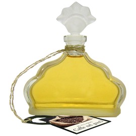 perfume Caffe nel Greco