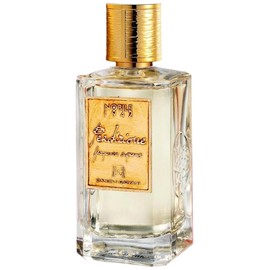 perfume Perdizione