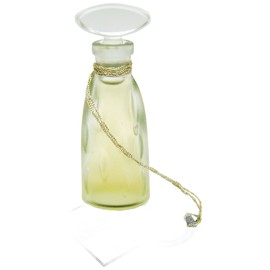 perfume Chypre Elementary