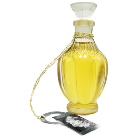 Narcisse Dark