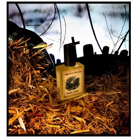 Riverside Hayride