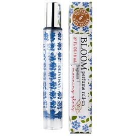 perfume Morning Glory