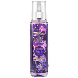 perfume Chic Seduction