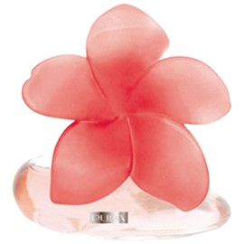 perfume Very Flower Fiore di Tahiti