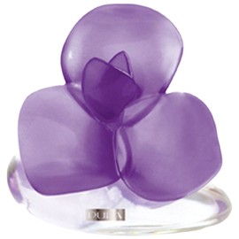 perfume Very Flower Iris