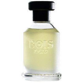 Rosa 23