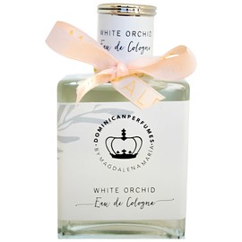 White Orchid