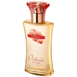 Orangerie Orchidee