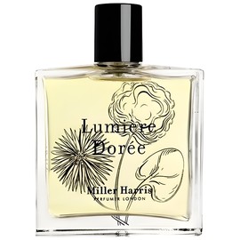 Lumière Dorée