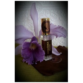 Orquidea Absoluta