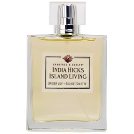 India Hicks Island Living - Spider Lily