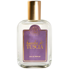 perfume Bacche di Tuscia