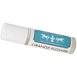 Soliflore Orange Flower