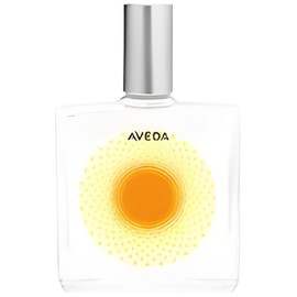 perfume Desert Pure-Fume Dune Primrose