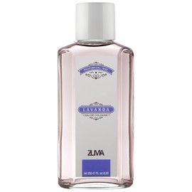 perfume Lavanda