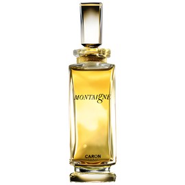 perfume Montaigne