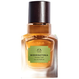 perfume Widdringtonia