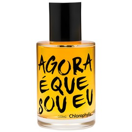 perfume Agora É Que Sou Eu