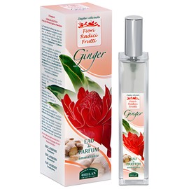 perfume Ginger