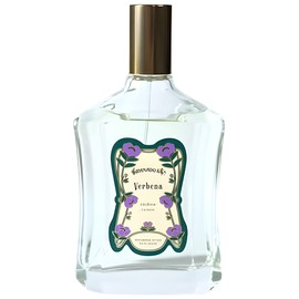 Verbena