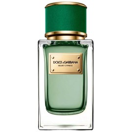 perfume Velvet Cypress