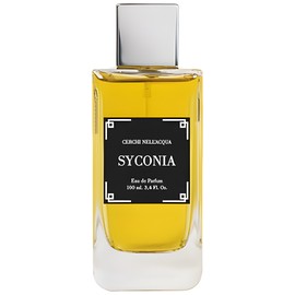 Syconia