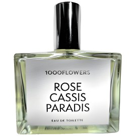 Rose Cassis Paradis
