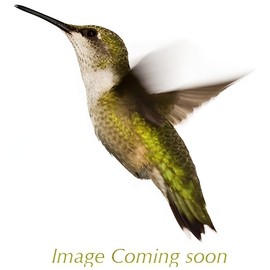 perfume Tanima No Himeyuri