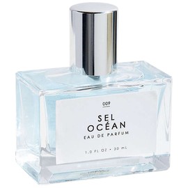 Sel Océan