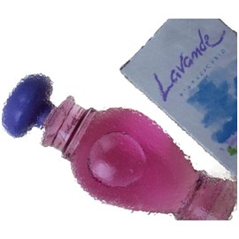 perfume Lavande