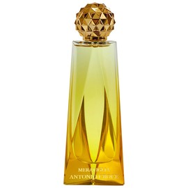 perfume Meraviglia