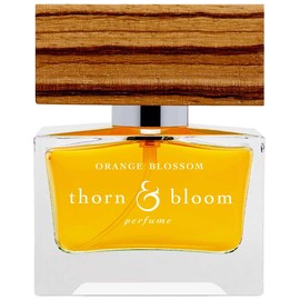 Orange Blossom