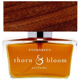 perfume Evergreen