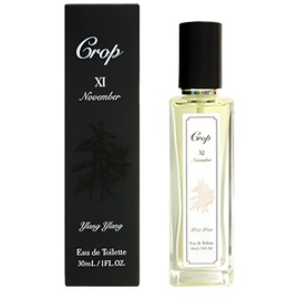 perfume XI November