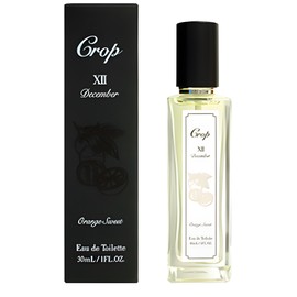 perfume XII December