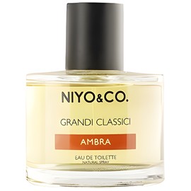 perfume Ambra