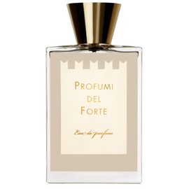 perfume Vetiver Moderno