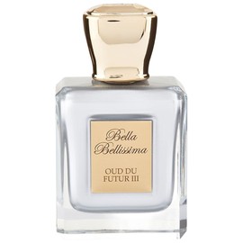 Oud Du Futur III
