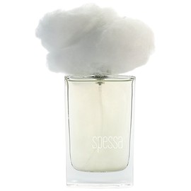 Nebbia Spessa