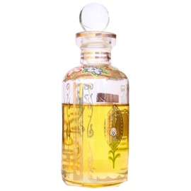 perfume The Manchester Rose