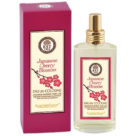 Japanese Cherry Blossom
