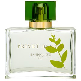 perfume Privet Bloom