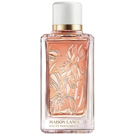 perfume Iris Dragées